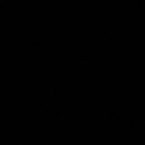 Meet your Posher, Mya